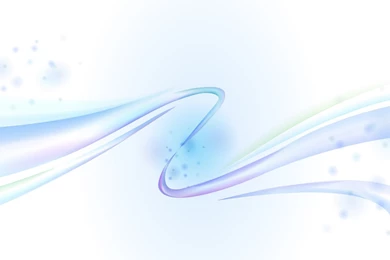 Download 1920x1080 HD Wallpapers Stalk Leaves White Backgrounds ...