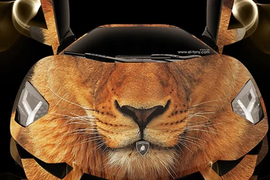 3D Wallpapers For iPhone 6 Plus 25, iPhone 6 Plus Wallpapers