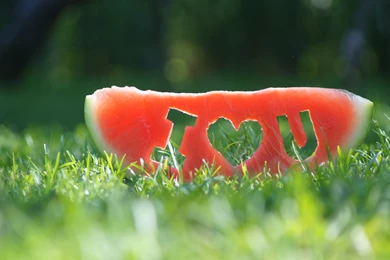 Watermelon: I Love You HD Wallpapers. 4K Wallpapers