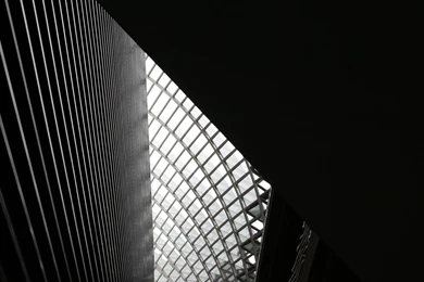 The Flood Architecture Hd Wallpapers   (