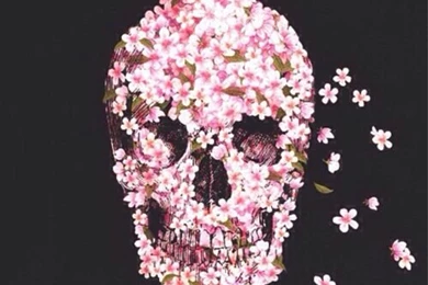Pink Skull Wallpapers *~*