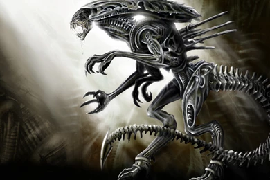 Image   Alien Wallpaper HD Dekstop PC.jpg   Fly Like A Bird 3 Wiki ...