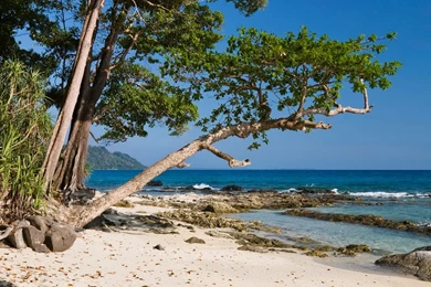 Download Seashore Spanshot   Nature Wallpapers