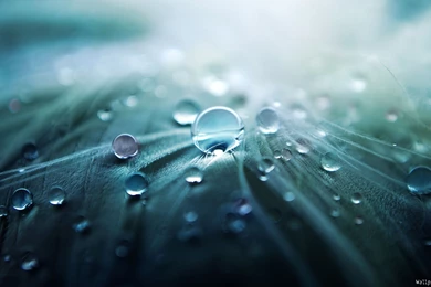 Wallpapers Photos Hd   HD Wallpapers Pretty