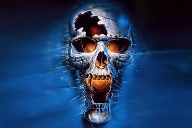 Skull Wallpapers Hd   Wallpapers HD Base