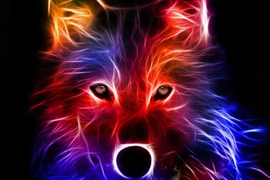 Colour Dog Stripes Glow Awesome Colorful Backgrounds Wallpapers ...