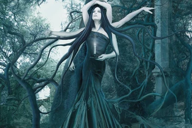 Gothic Wallpapers   (