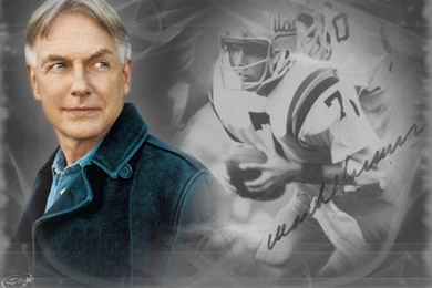 Mark Harmon   UCLA Football 2014 By Silverfox2159 On DeviantArt