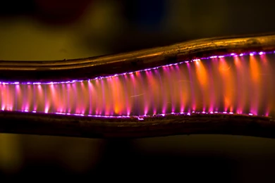 Electrical Jackobs Ladder Sideways