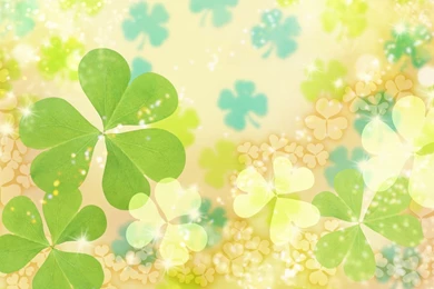 Download Wallpapers 3840x2400 Clover, Leaf, Shiny, Bright Ultra HD ...