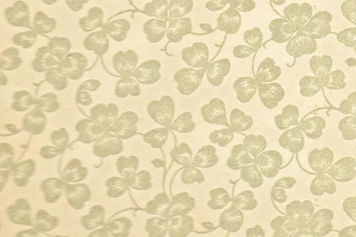 Photo 18 Of 18, Backgrounds Set 3