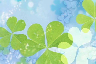 iPad Wallpapers: Free Download St Patrick's Day Wallpapers For ...