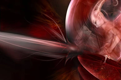 Free HQ 3D Fine Wallpapers   Free HQ Wallpapers