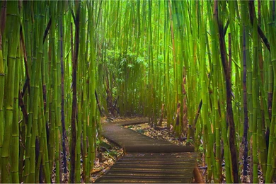 The Webshots Fine Photography In March 2012 Wallpapers 3 ...