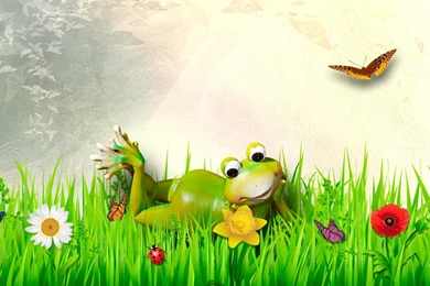 Hd Fine Froggy Spring Day Wallpapers