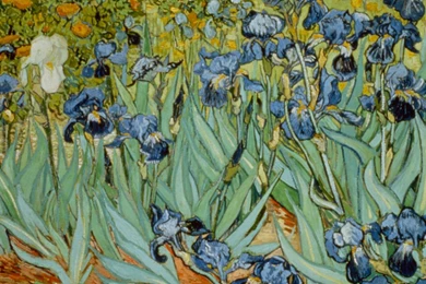 Fine Art Hd Wallpapers   (