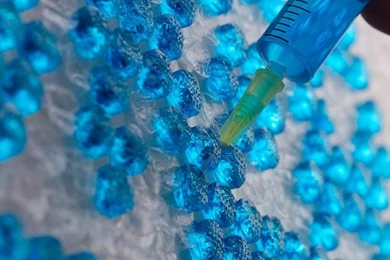 Bubble Wrap Typography – Fubiz Media