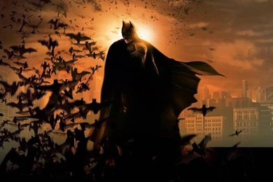 Batman Wallpapers 21389