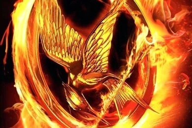 The Hunger Games Mobile Wallpapers