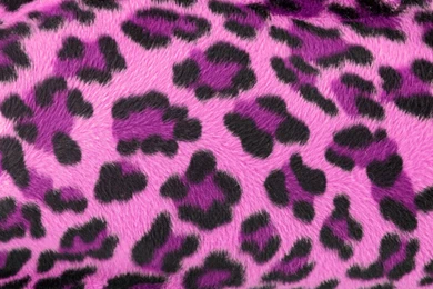 Animal Print Desktop Wallpaper Backgrounds