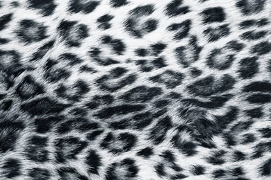 Animal Print Desktop Backgrounds   Wallpapers Cave