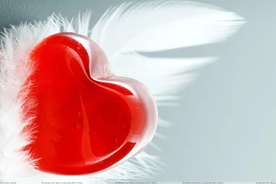 Red Hearts Wallpapers, Photos & Images In HD