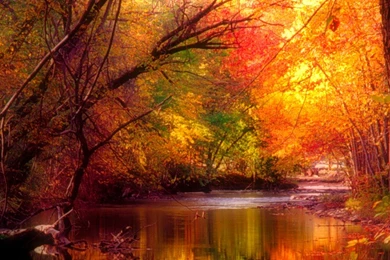 Wallpapers Dekstop: Seasons Wallpapers Bacckground Chapter 2