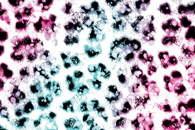 Leopard Print Wallpapers : Ganjのブログ