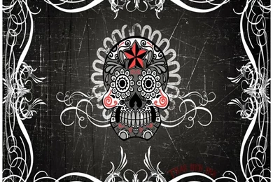 Love Me Some Skulls On Pinterest