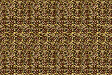 Yellow Pink Animal Print Desktop Wallpapers