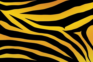 Zebra Print Desktop Wallpapers Download   Images   Tbwnz.com