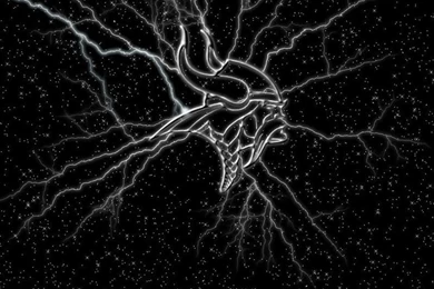 NFL Wallpaper's?   Page 3   Android Forums At AndroidCentral.com