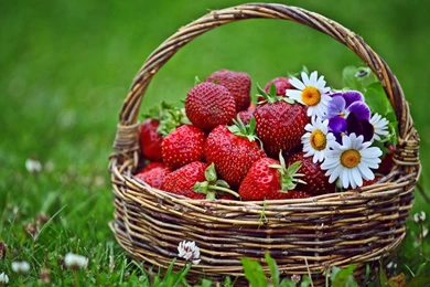 Strawberries And Flowers In A Basket Wallpapers By JennyMari ...