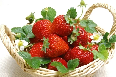 Strawberry HD Wallpapers Download Free