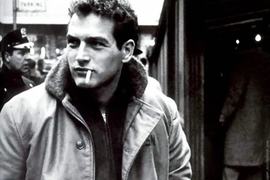 Wallpapers Yuri Boyka Scott Adkins Photos Galleries 800x600 ...