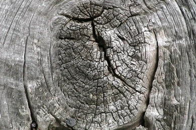 Free Photograph; Weathered, Barn, Wood, Knot