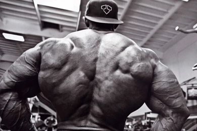 Bodybuilding Computer Wallpapers, Desktop Backgrounds