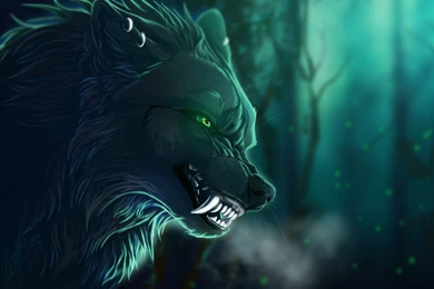 76 Wolf HD Wallpapers