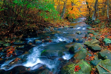 Top 10 Most Beautiful Sceneries In The World Wallpapers Free With ...