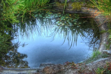 Most Beautiful Pictures Of Nature In The World Wallpapers Picture ...