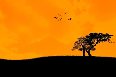 Sunset Art Backgrounds