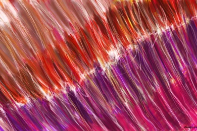 Download Free Wallpapers  10