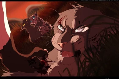 Warrior Cats On Pinterest