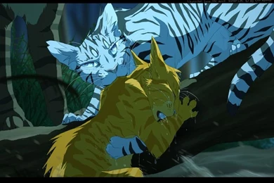 Warrior Cats By Erin Hunter, Art By Mizu no Akira. Longtail ...