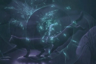 Reply To "Warriors, Seekers, SURVIVORS And Backgrounds V4 Artwork ...