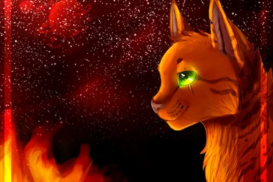 Leafpool's Sadness By Snowmist cat On DeviantArt