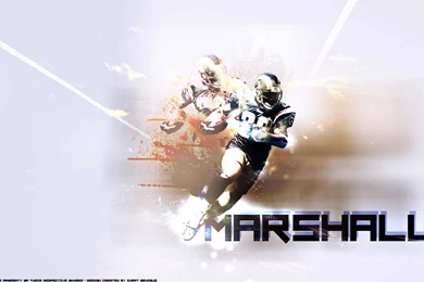 Hope You Like This St. Louis Rams Wallpapers HD Backgrounds As Much ...