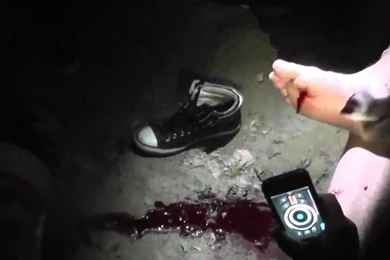 Top Rob Dyrdek Tricks Wallpapers