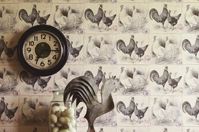 Feature Wall Wallpapers