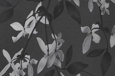 Jocelyn Warner Book Three